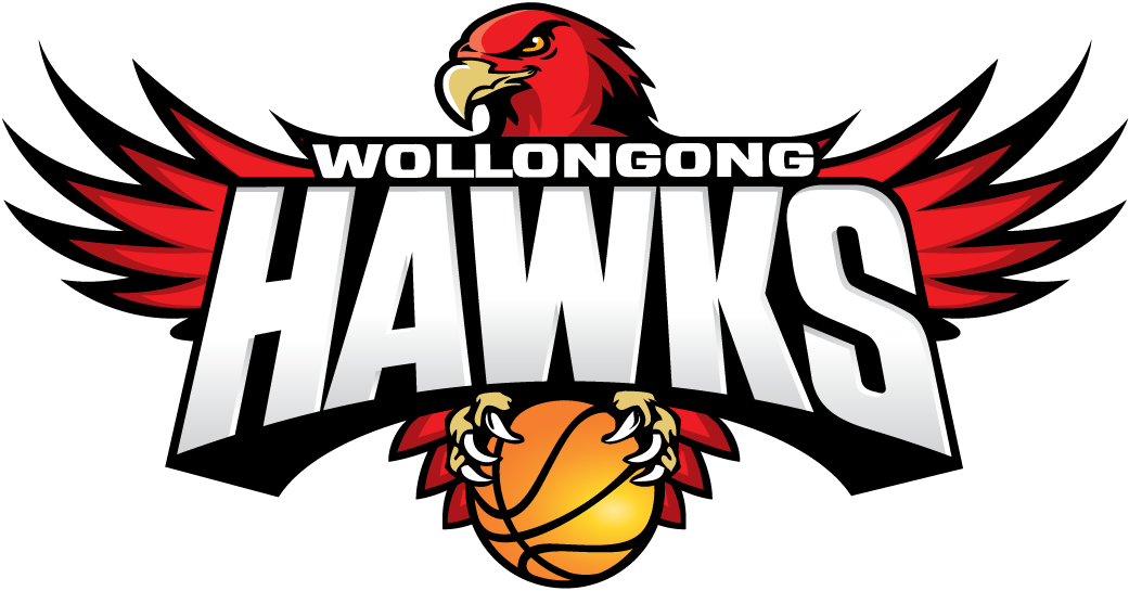 Wollongong Hawks 2008-Pres Primary Logo iron on transfers for clothing